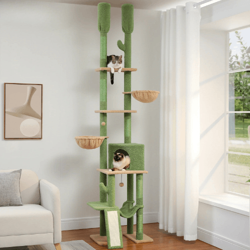 Arbre à chat cactus design XL multi niveaux original - Mon Arbre à Chat