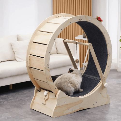 Arbre a chat roue design pour exercice et jeu - Mon Arbre à Chat